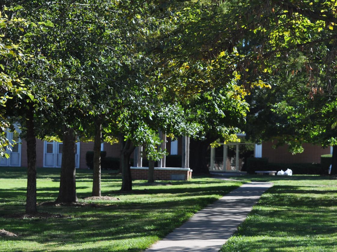 St. Paul Lutheran High School Photo - Row of trees facing the Saint Paul victory bell and in the background you see the Fine Arts building. The Fine Arts building houses art, music, choir, sociology and government.