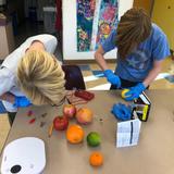 Kalispell Montessori Center Photo #5 - Science projects