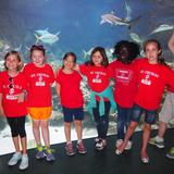 St. Cecilia Cathedral School Photo - Field Trip to the zoo.