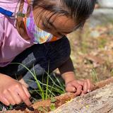 2nd Nature Academy (SNA) Photo #3 - Inquiry and exploration is at the heart of a 2nd Nature Academy education.