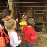 Bright Beginnings West School Photo #4 - Our Field trip for some fun on the farm!