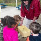 Church Street KinderCare Photo #6 - Discovering bugs