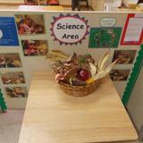 KinderCare at East Brunswick Photo #4 - Toddler Classroom - Science Area