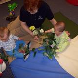 Springdale Road KinderCare Photo #7 - Ms. Else exploring flowers with her babies.