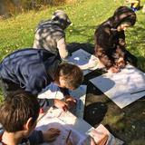 Aurora Waldorf School Photo #5 - Outdoor learning is a large part of the school day at Aurora Waldorf School.