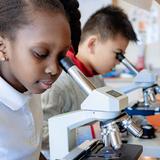 Friends Academy Photo #8 - Lower School Science