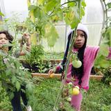 Manhattan Country School Photo #6 - Lower School Students at MCS Farm