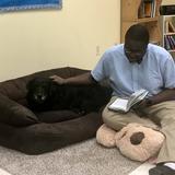Maplebrook School Photo #2 - Reading with Dogs improved comprehension.