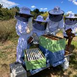 Robert C Parker School Photo #7 - Garden and nature programs.
