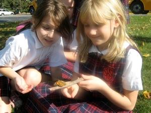 Sacred Heart School Photo