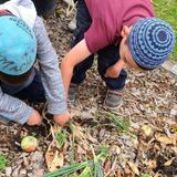 Hebrew Academy Photo #4 - Our Kindergarten Garden is an interactive playground that feeds the natural curiosity and passion of our students, while teaching the value of responsibility and hard work, engaging all five senses.The Hebrew Academy - where learning comes to life every single day!