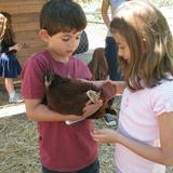 Highland Hall Waldorf School Photo #3 - Our biodynamic farm includes a chicken coop, fruit trees, compost area and more