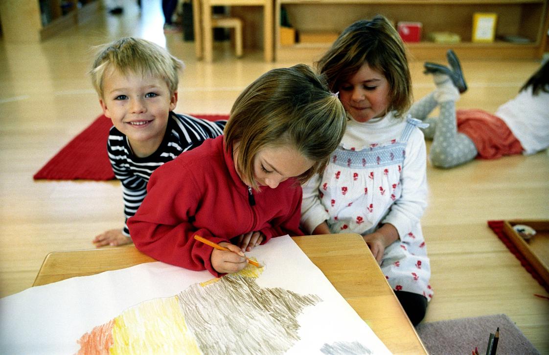 Marin Montessori School Photo - A Primary Classroom - kids ages 2 1/2 - 6 years old engaging in class work!