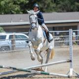 Monte Vista Christian School Photo #11 - Our Equestrian Program offers Beginner and Advanced Horsemanship for PE credit, a Cowboy/Cowgirl Class, as well as Hunt Seat, Dressage, and Western Riding IEA teams.