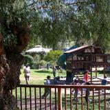 Montessori Child Development Center Photo #1 - Our playground & gardens