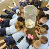 St. Rose Of Lima Catholic Academy Photo #2 - PreK getting ready to release their butterflies.