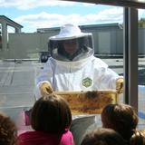 The Harley School Photo #6 - Apiary at The Harley School. Students participate in honey production and sale.