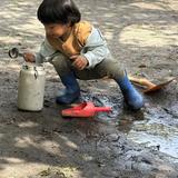 The Waldorf School Of Garden City Photo #4 - Outdoor play in our Early Childhood program.