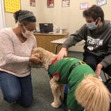 The John Crosland School Photo #2 - We love our dogs.... for comfort and therapy.