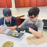 Noble Academy Photo #7 - High School biology class