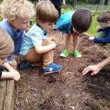New Garden Friends School Photo #3
