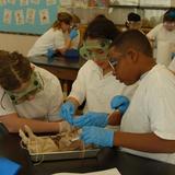 Our Lady Of Mercy Catholic School Photo #4 - Our fully-equipped science lab offers our middle school students the opportunity to get hands-on with learning.