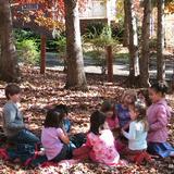 Pinewoods Montessori Schoolcorp Photo #3 - At Pinewoods, the outdoors is an extension of the classroom learning environment.