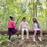 The Raleigh School Photo #4 - OUTDOOR LEARNING: TRS sits on 18 acres of a beautiful wooded campus, bordered by a stream. Our children have recess every day, and they also explore the outdoors in connection with the curriculum.
