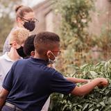 Bethany School Photo - Intermediate school students exploring the community garden.