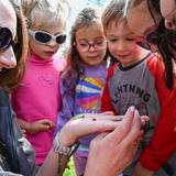 Birchwood School of Hawken Photo #4 - Birchwood School of Hawken is a preschool through eighth grade independent private school. Our mission is to give children the intellectual skills and character traits that will enable them to realize their own potential for becoming.