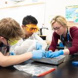 Marburn Academy Photo #9 - High School science class learning about dissection.