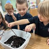 Metro Christian Academy Photo #30 - Worms!