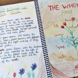 Swallowtail Waldorf School & Farm Photo #2 - We give fewer assignments but expect higher quality work, encouraging students to take their time and bring depth to their understanding of the various academic concepts.