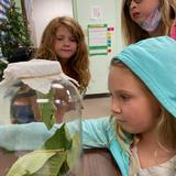 Adams County Christian Academy Photo #3 - Elementary STEM activities keep students engaged.