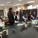 Bishop Guilfoyle Catholic High School Photo #6 - Our Pre-Med Club's Visit to Our Local Hospital Lab