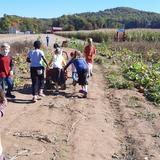 Emmaus Baptist Academy Photo #6 - Our Elementary students go to a pumpkin patch every fall, participating in hayrides, corn mazes, pumpkin and apple picking.