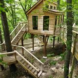 Shady Side Academy Country Day School Photo - Our newest outdoor classroom a treehouse, the only one its kind in Western Pennsylvania, and one of only a few across the country. The treehouse features a 12x20-foot enclosed classroom, and large windows. A 30x30-foot observation deck surrounds the building and a suspension bridge which runs from the base of the treehouse to a lookout platform on a nearby tree.