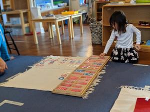 Main Line Montessori School Photo