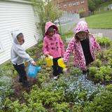 Shady Side Academy Junior School Photo - Shady Side Academy has four campuses. The Junior School, located in Point Breeze, begins at PK and goes up to the fifth grade. On this seven-acre campus, our youngest students reside in the newest facility built specifically for their needs. This photo shows PK students tending their garden. Our second PK - 5 campus is located in Fox Chapel.