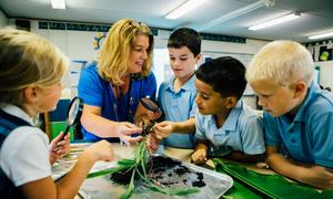 Shalom Christian Academy Photo