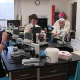 St. Thomas More School Photo #7 - Science Lab