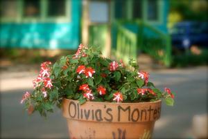 Olivia's Montessori Preschool Photo