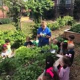 Our Lady Of Perpetual Help School Photo #8 - Preschoolers learning in the garden at OLPH Nature Explore Outdoor Classroom