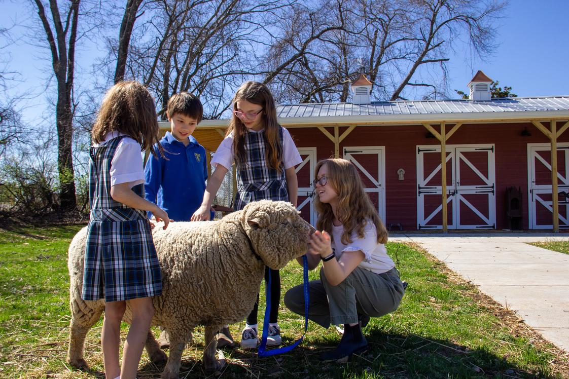 Overbrook Catholic School Photo #1 - Students petting sheep at Beyond the Brook Farm, an extension of the STEM program at Overbrook Catholic School in Nashville, TN.