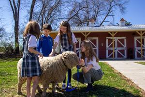 Overbrook Catholic School Photo
