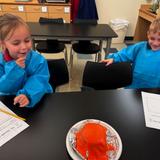 All Saints Episcopal School Photo #12