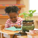 Waypoint Montessori Photo #6
