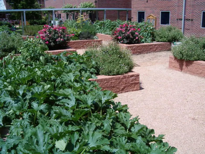 St. John Paul II Catholic School Photo #2 - The garden at St. John Paul II Catholic School serves as an outdoor classroom.