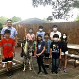 Montessori Learning Institute Photo #5 - Petting Zoo-Summer Camp 2021
