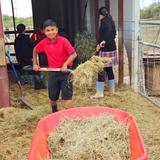 Mount St. Michael Catholic School Photo #1 - Agricultural Studies Program
